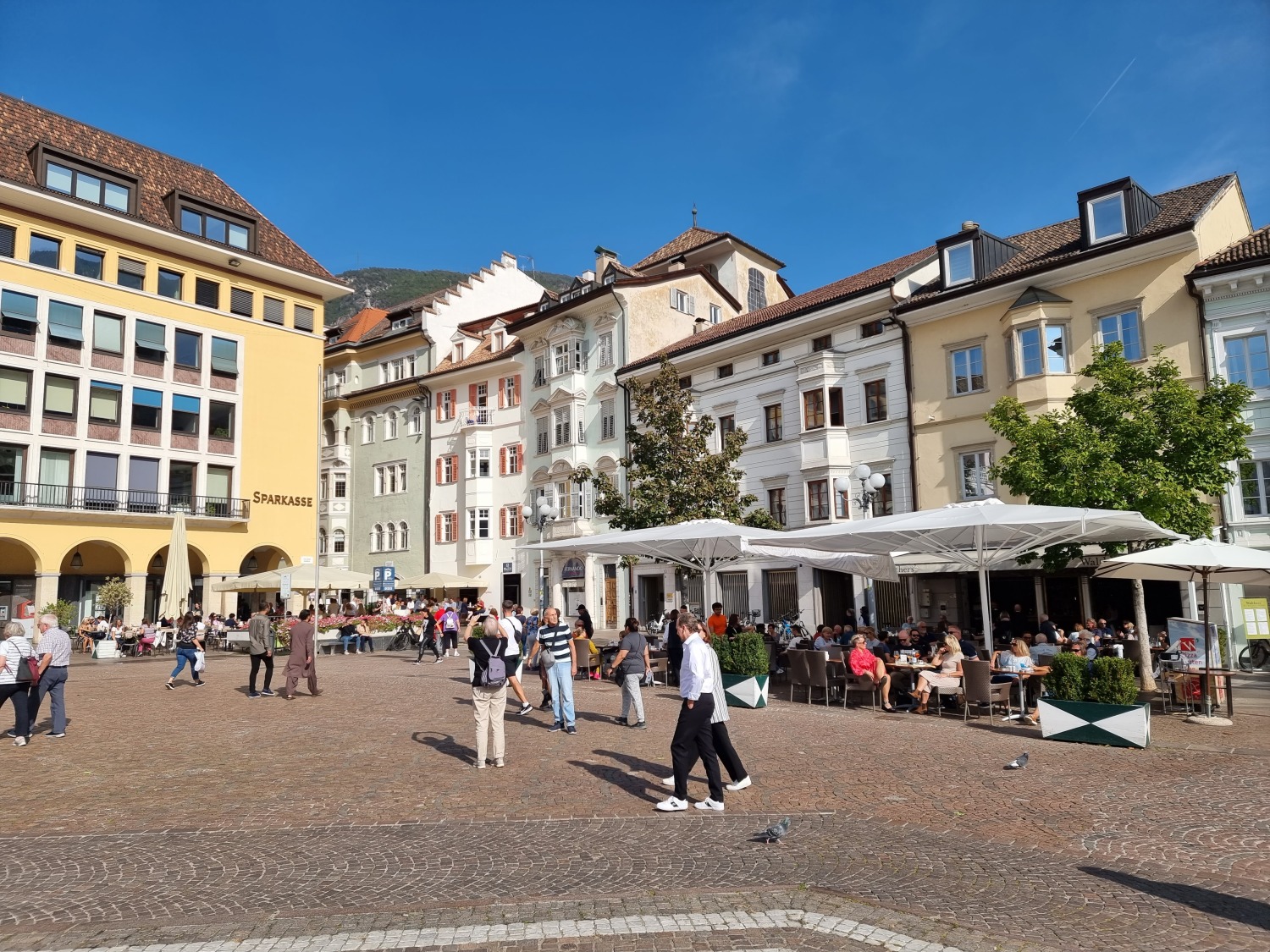 Waltherplatz in Bozen nach Walther von der Vogelweide. Er schaut nach Süden in Richtung Italien, in Trient schaut Dante nach Norden. Jeder soll seinen Sprachraum behalten und gegen die "Feinde" absichern.