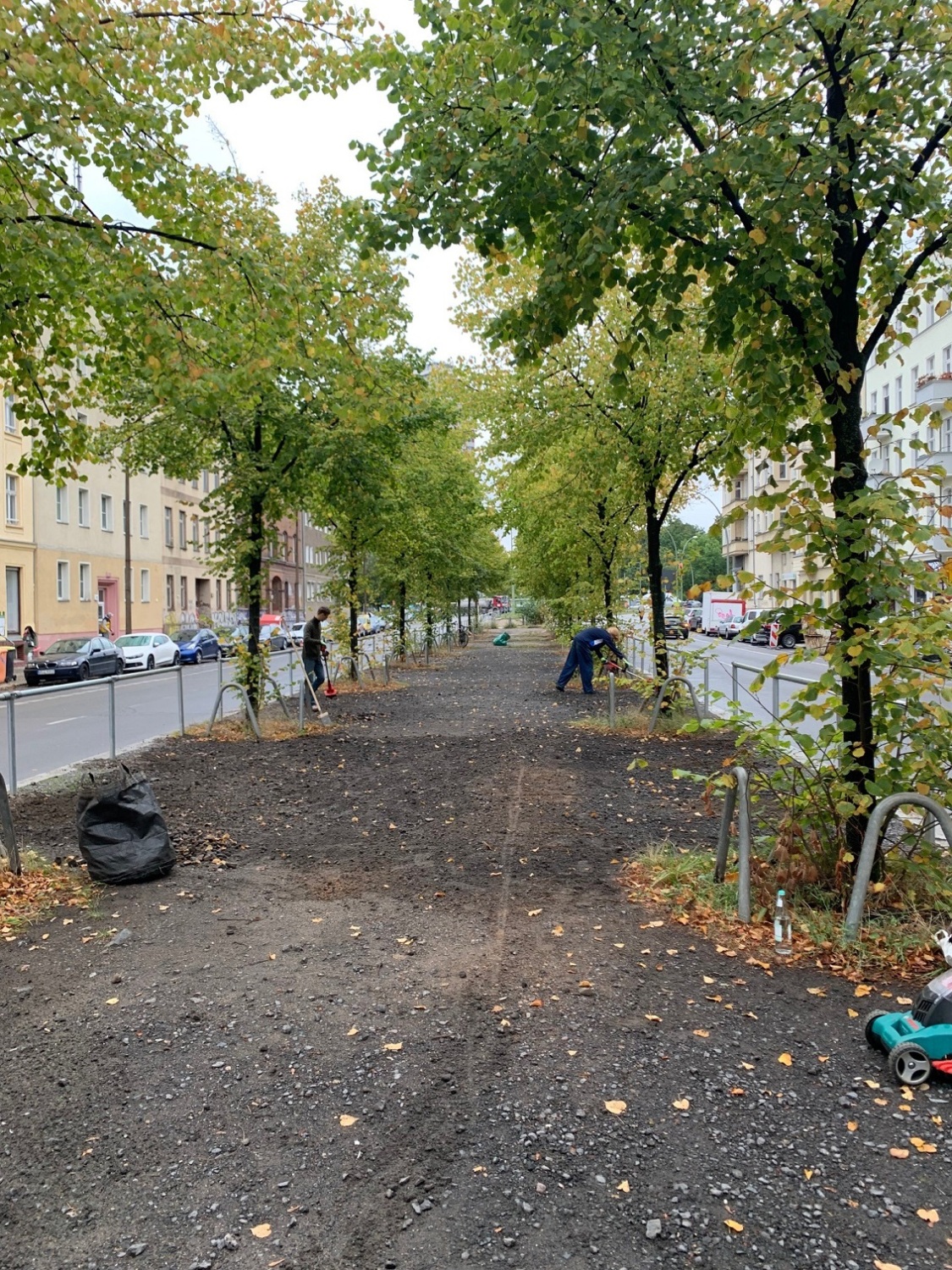 Begrünung des Mittelstreifens der Friedenstraße in Friedrichshain