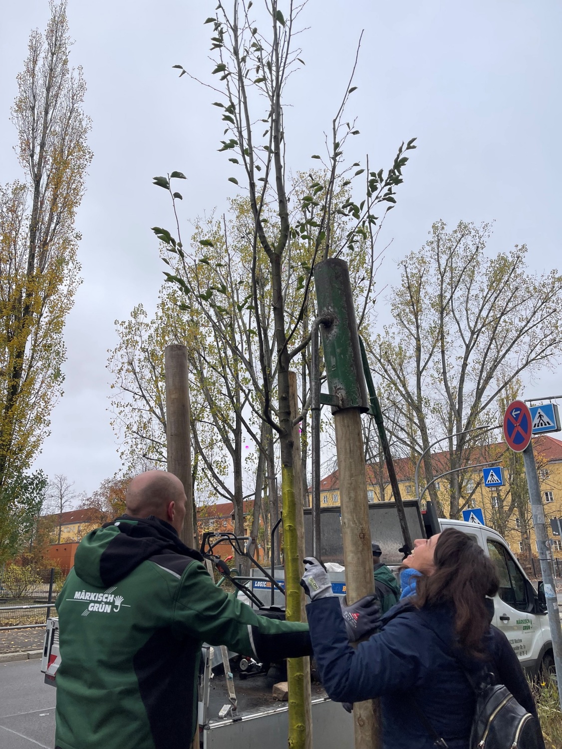 Stadträtin setzt den Baum