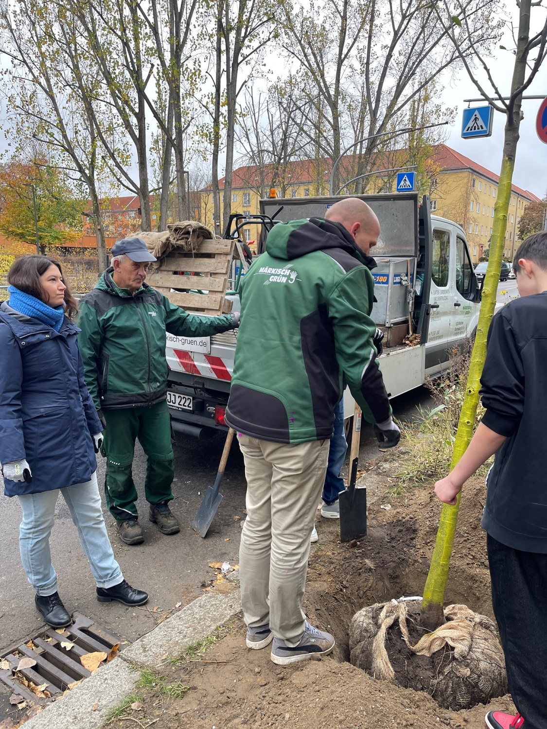 Schüler setzen Baum ein