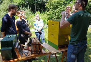 Bienenlehrgarten im Juli 2021 - Bienenbeute