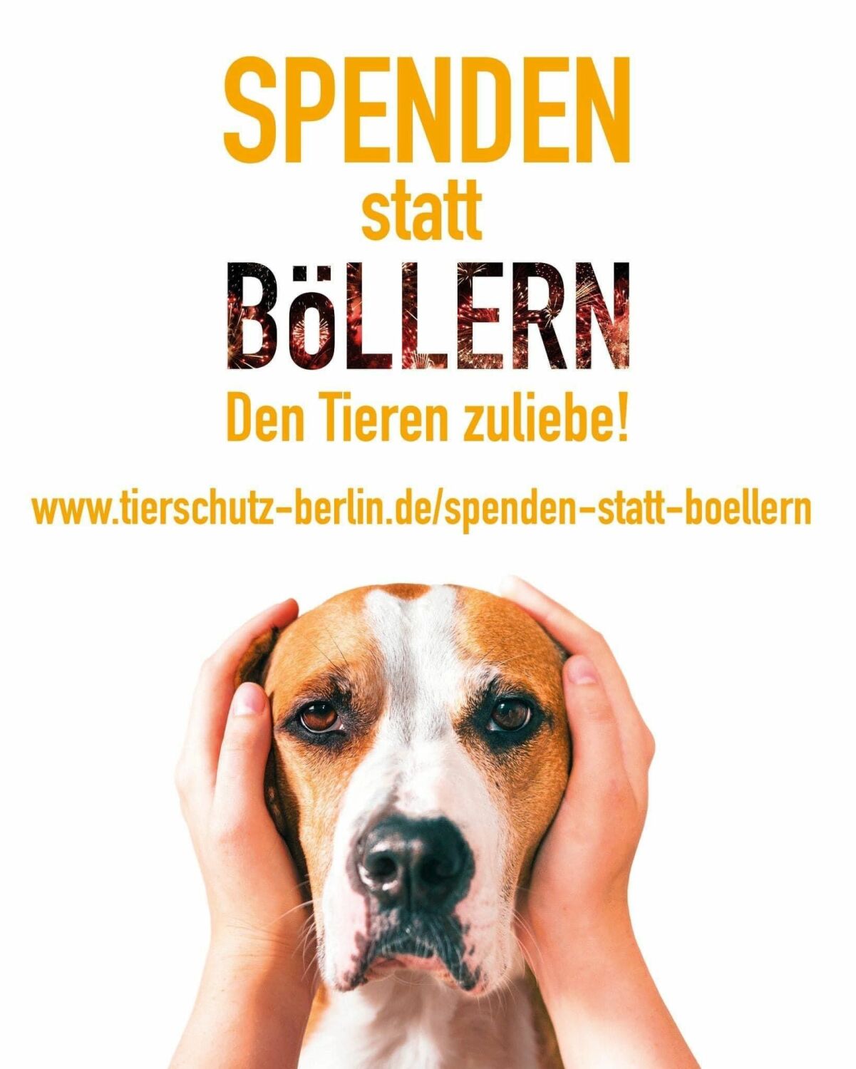 Plakat "SPENDEN statt BÖLLERN - Den Tierne zuliebe!" 