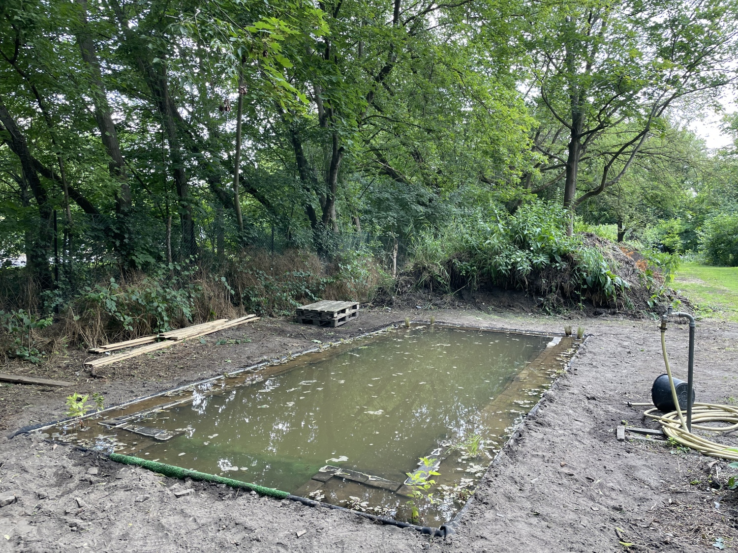 Nach dem Bau wurde der Teich mit Wasser gefüllt. Auch die ersten Pflanzen sind schon eingesetzt.