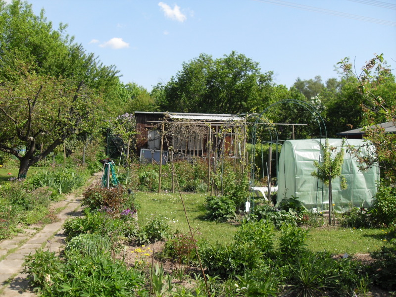 Blick in den Garten