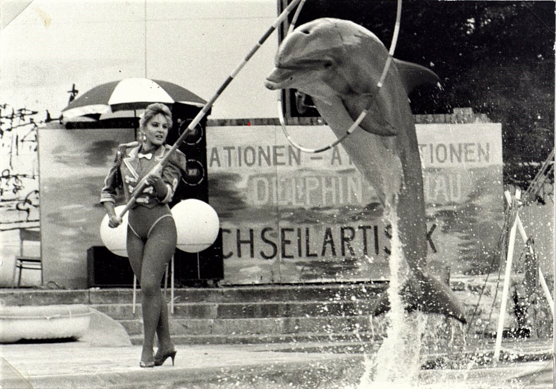 Delphin-Show in der Freilichtbühne anlässlich der 750-Jahrfeier Berlins, Foto 1987 