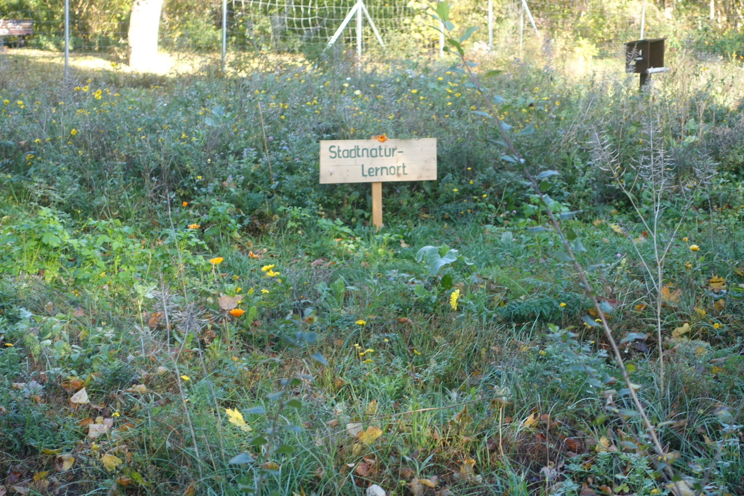 Stadtnatur: Lernort auf dem Kleinen Bunkerberg, Foto 2021