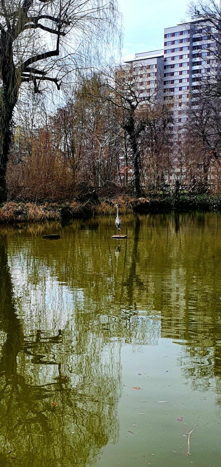 Kleiner Teich mit Reiher, Foto 2021