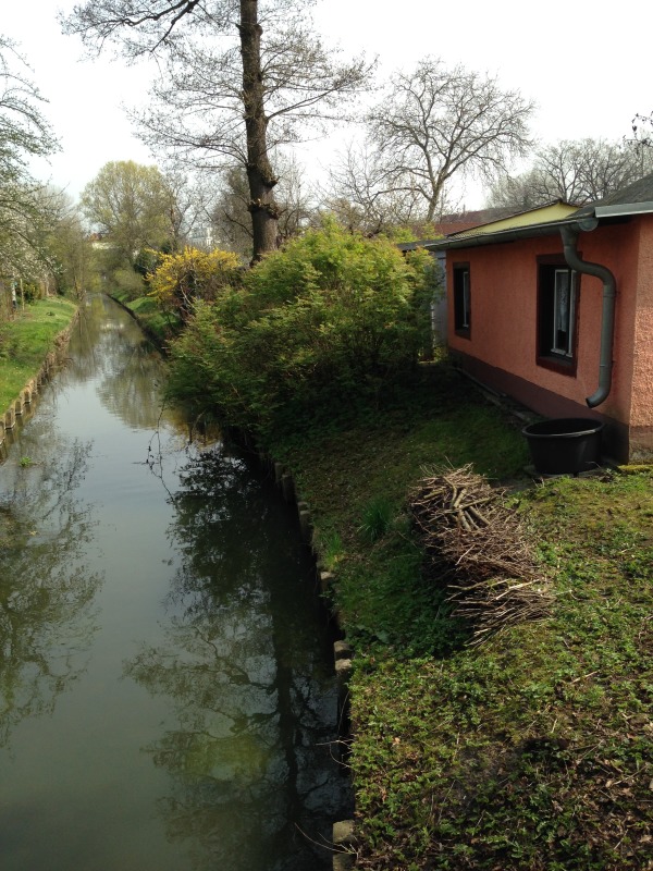 Böschung an der Panke