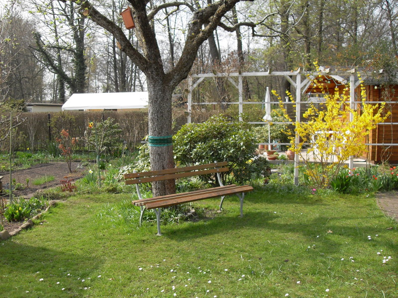 Gartenbank unter einem Baum