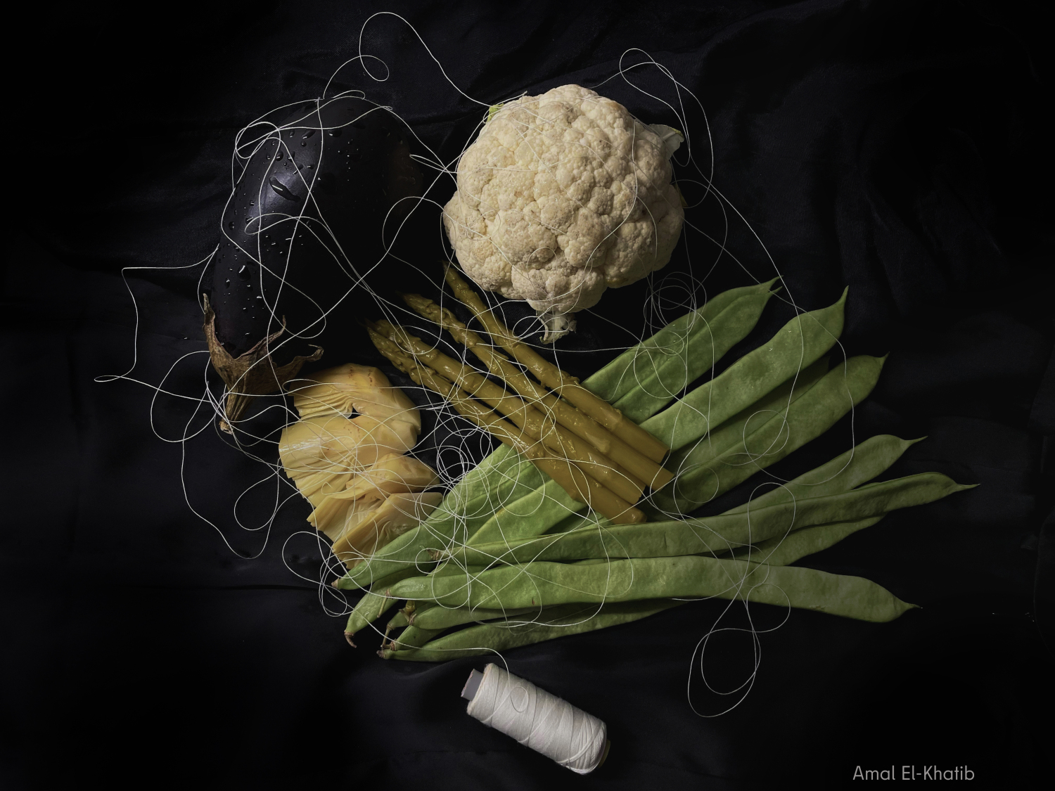 Tableaux de Legumes, Amal El Khatib