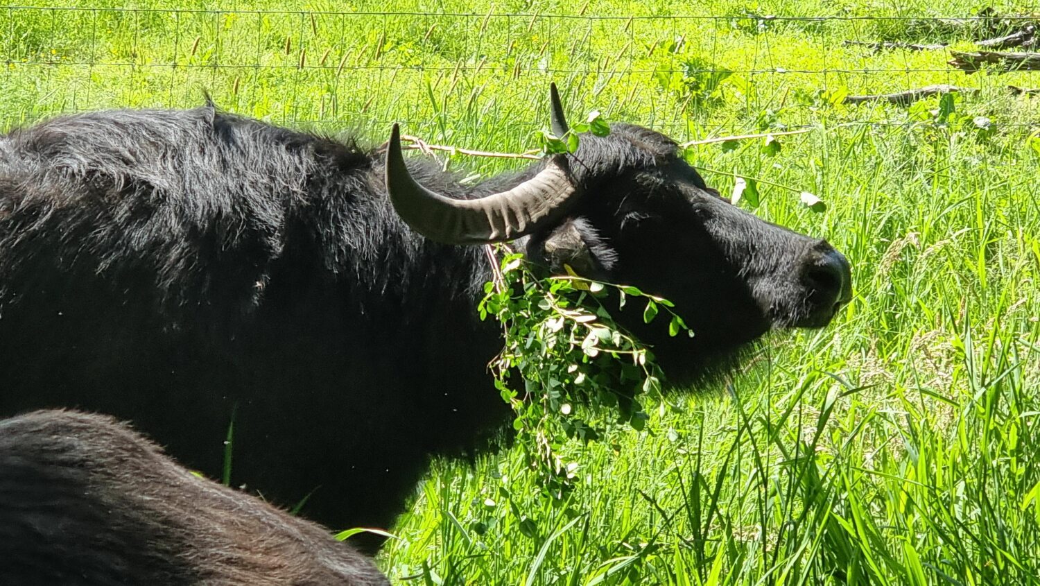 Angekommen im Tegeler Fließ