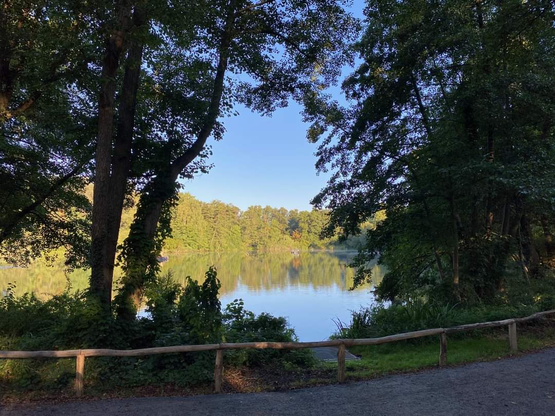 Spielplatz Am Waldsee (11)