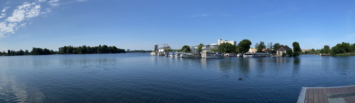 Blick auf die Insel Eiswerder vom Badesteg aus