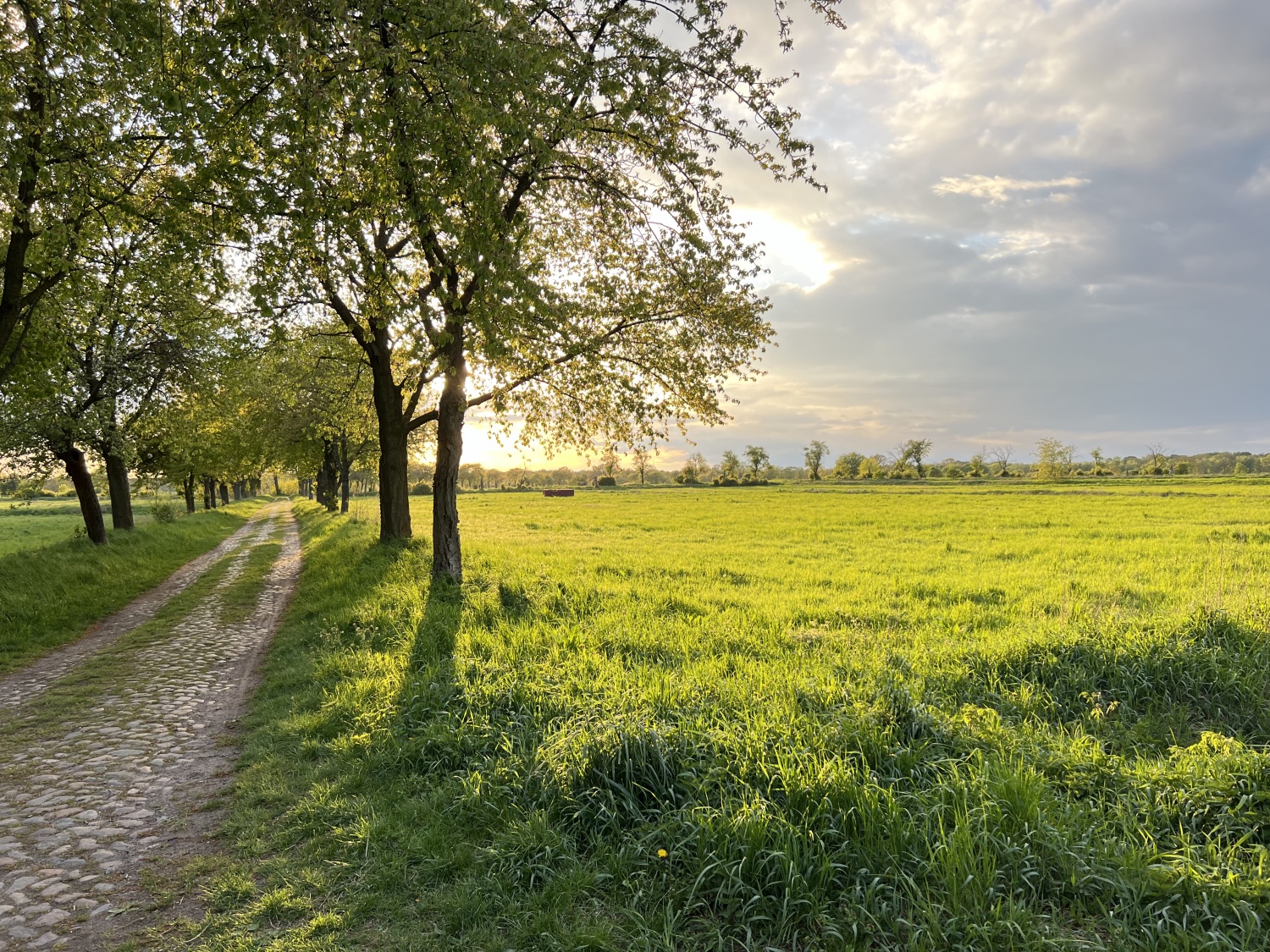 Rieselfelder - Spazierweg