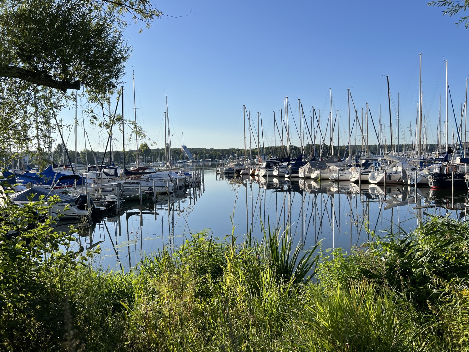 Blick auf die Boote am Ufer der Scharfen Lanke