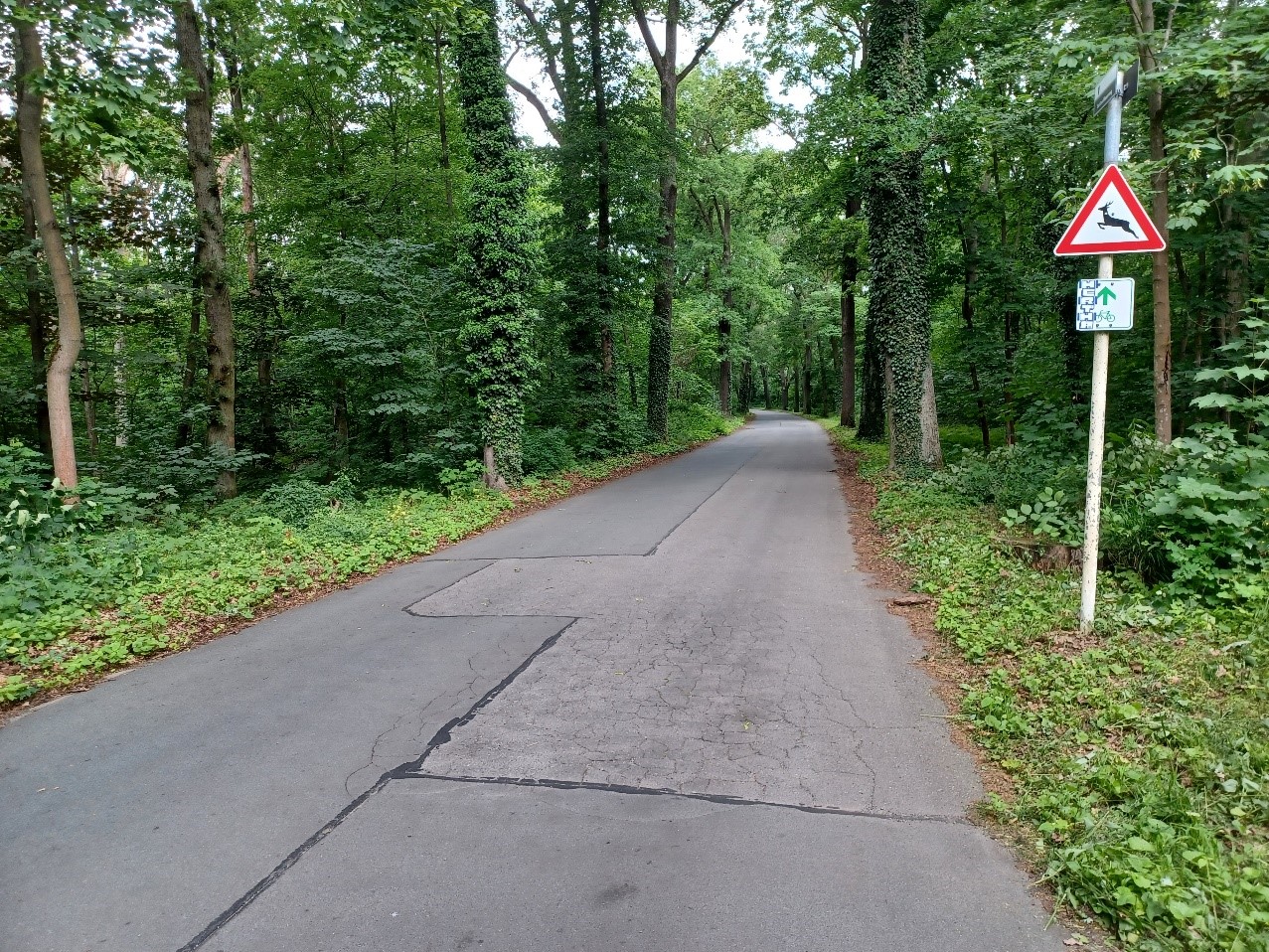 Beispiel für den Fahrbahnzustand – Bild 2