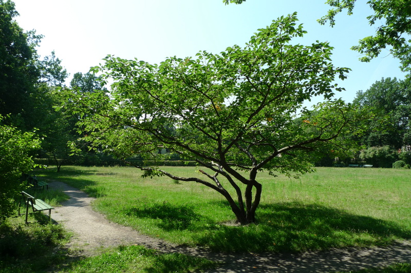 Marga Meusel Platz 3