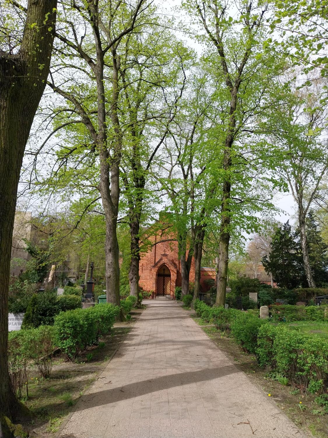 Ein Weg auf einem Friedhof