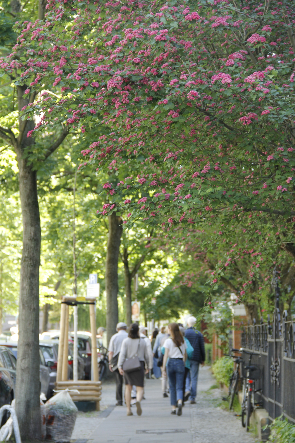 Menschen laufen einen Weg entlang und Blumen blühen