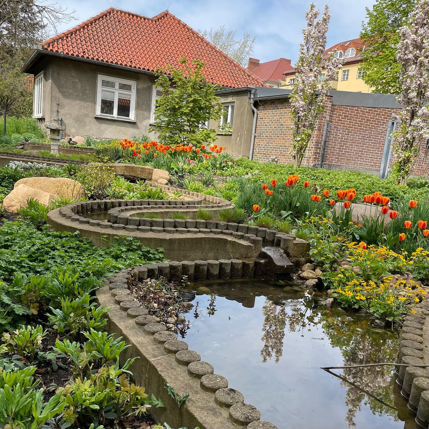 Blumen blühen an einem Gartenteich