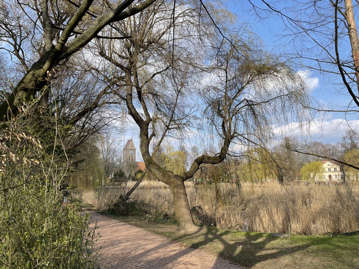 Ansicht des Dorfteichs Lichtenrade