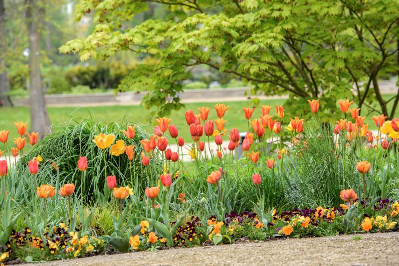 Blumen in den Sondergärten