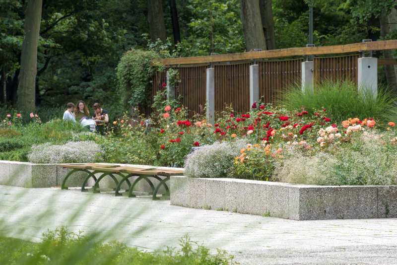 Der Rosengarten im Treptower Park