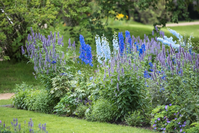 Blumen in den Sondergärten