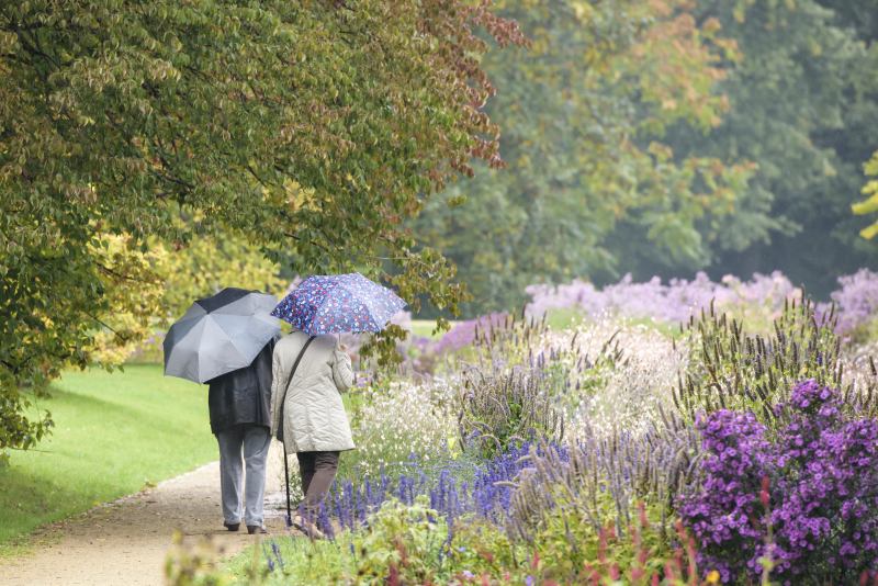 Herbst im Sommerblumengarten