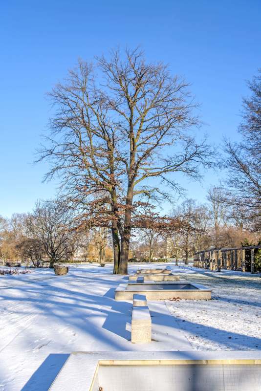 Winter im Sommerblumengarten