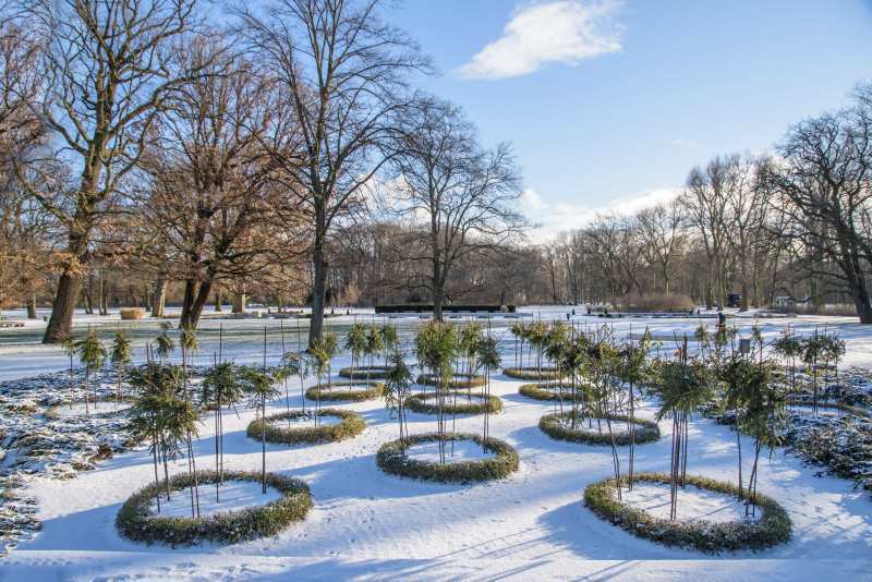 Winter im Rosengarten