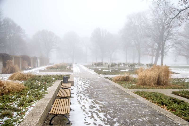 Winter im Rosengarten