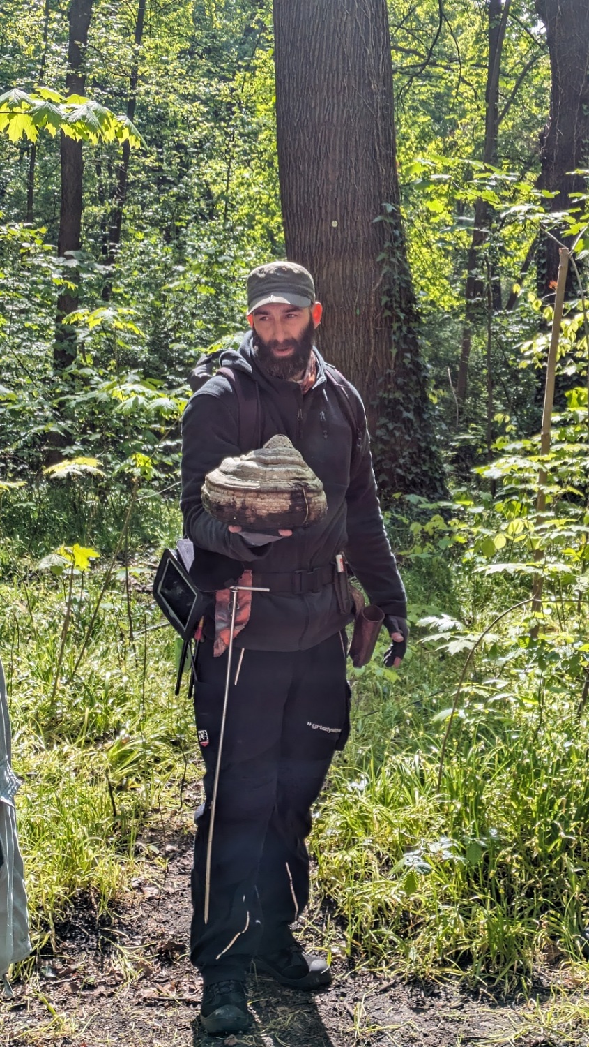 Baumkontrolleur zeigt Pilz zur Baumführung