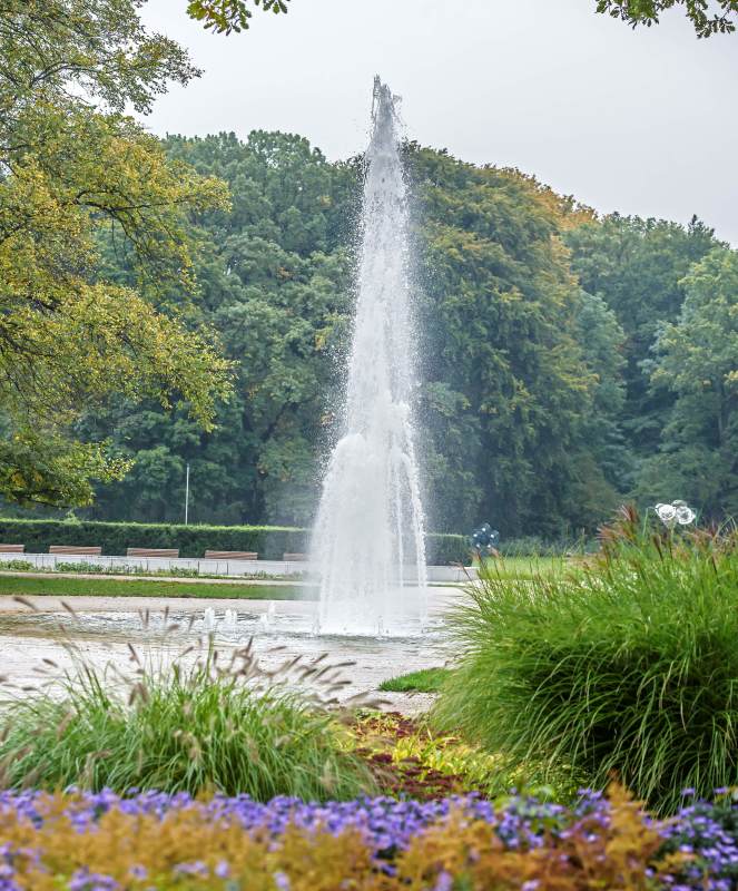 Springbrunnen im Rosengarten