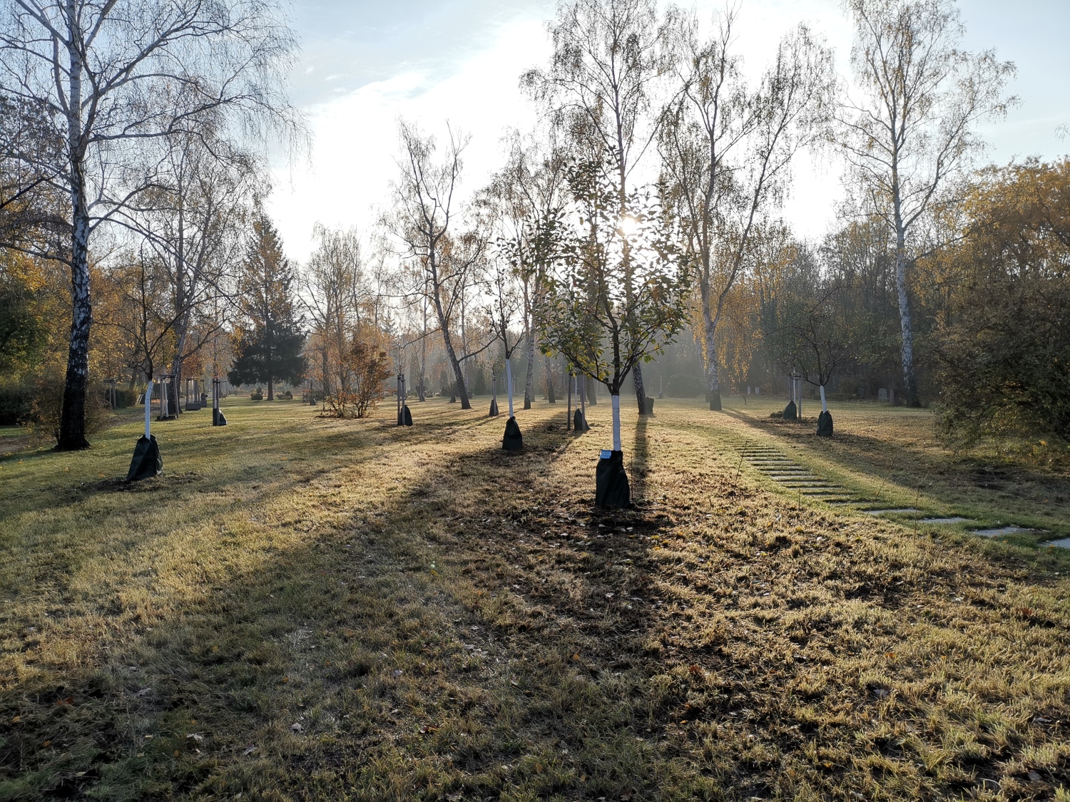 Obswiese auf dem Friedhof Oberschöneweide