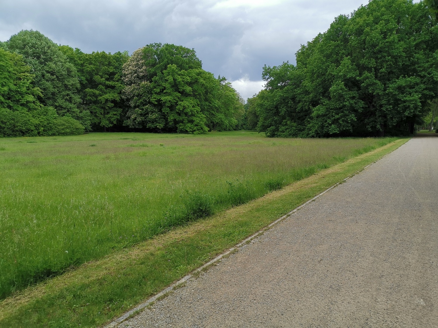 Gemähte Wiese im Treptower Park