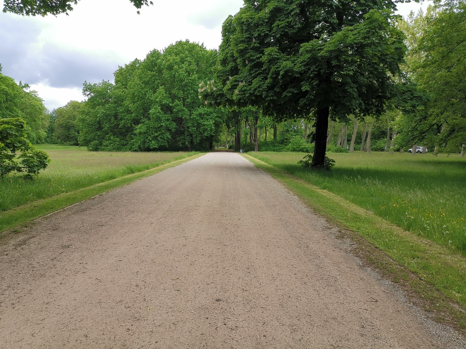 Gemähte Wiese im Treptower Park