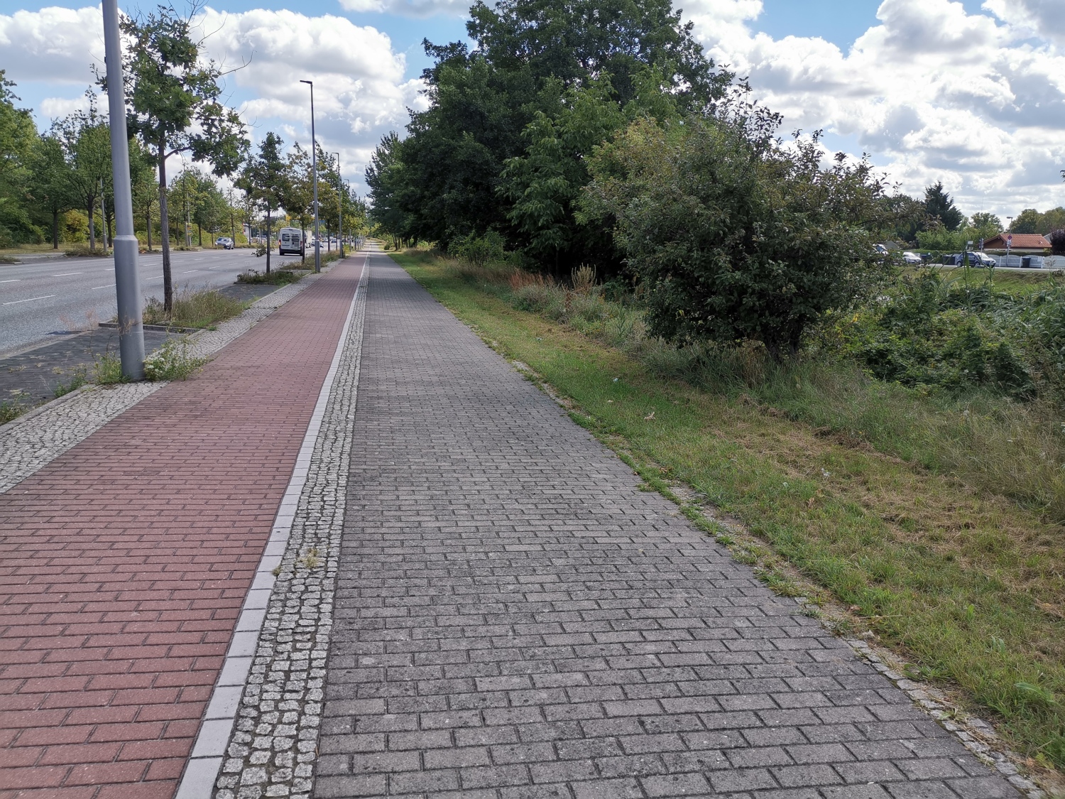 Gemähtes Verkehrsgrün am Ernst-Ruska-Ufer