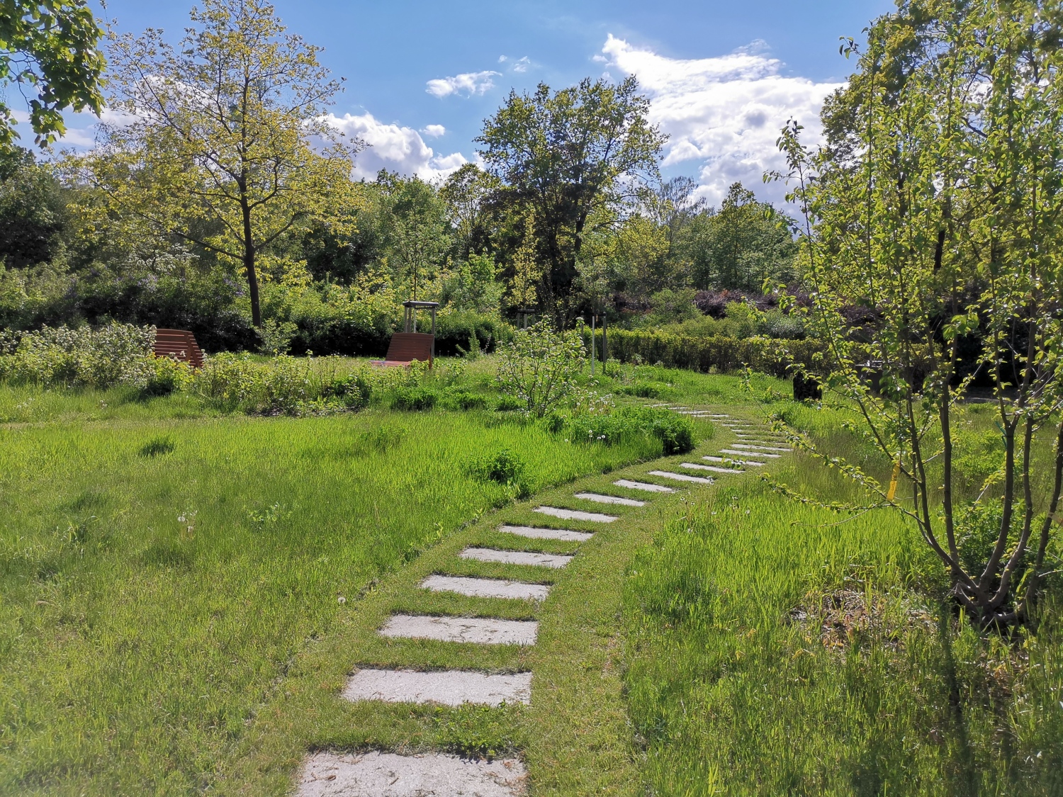 Plattenwege auf dem Friedhof Oberschöneweide