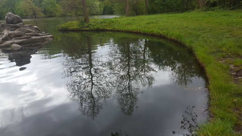 Karpfenteich, bestehende Uferbefestigungen