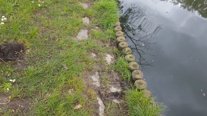 Karpfenteich, bestehende Uferbefestigungen