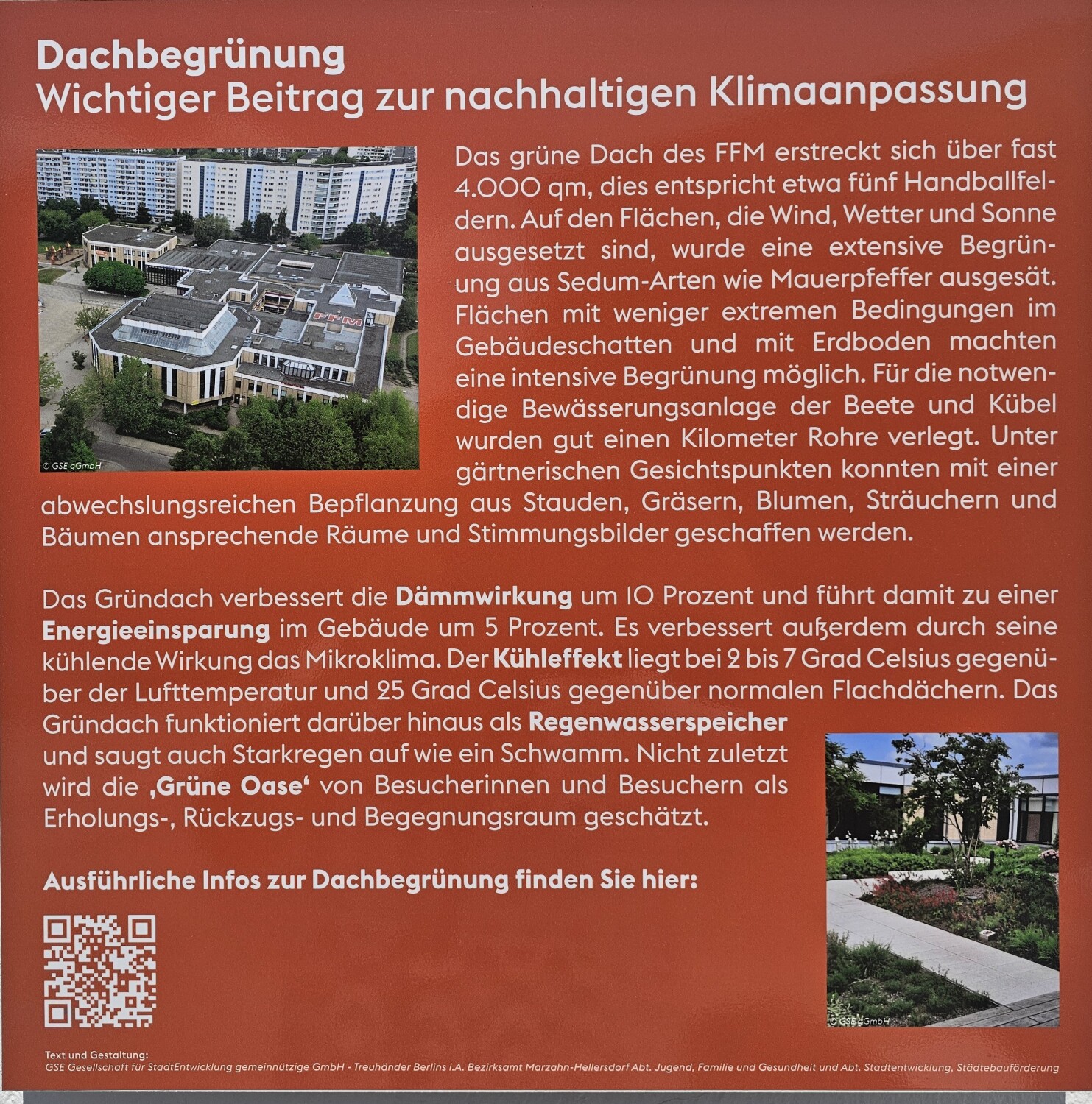 Informationsblatt zur Dachgartengestaltung