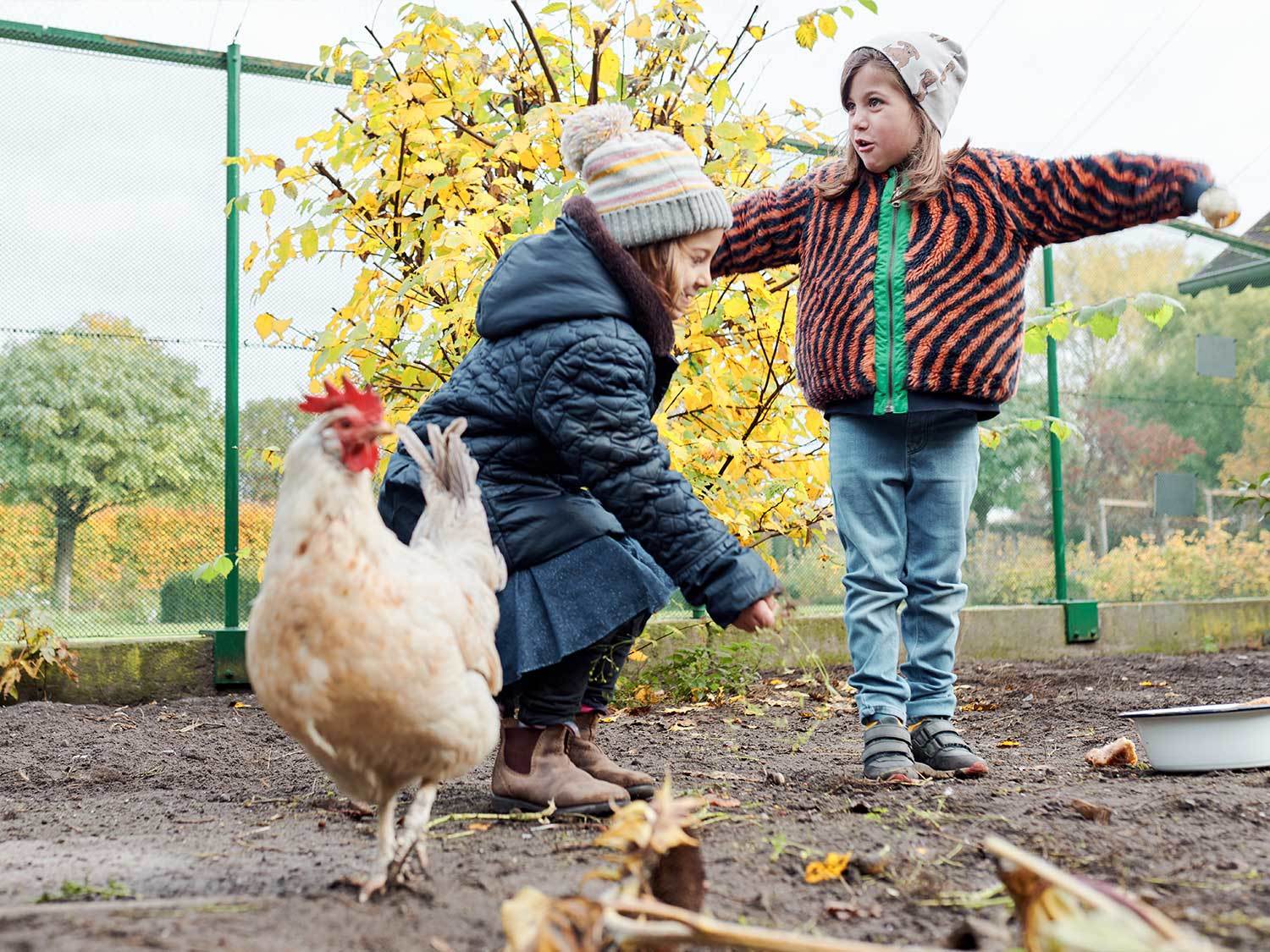 Bis-auf-den-letzten-Kruemel-kinder-huhn