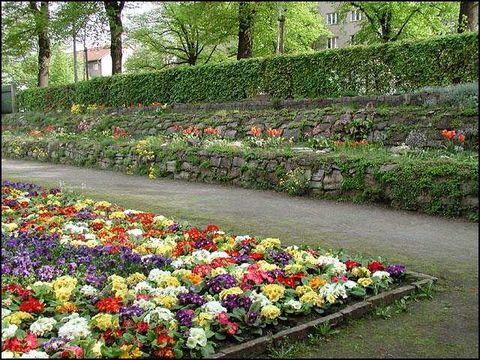 Steingartenbepflanzung am Biologischen Garten