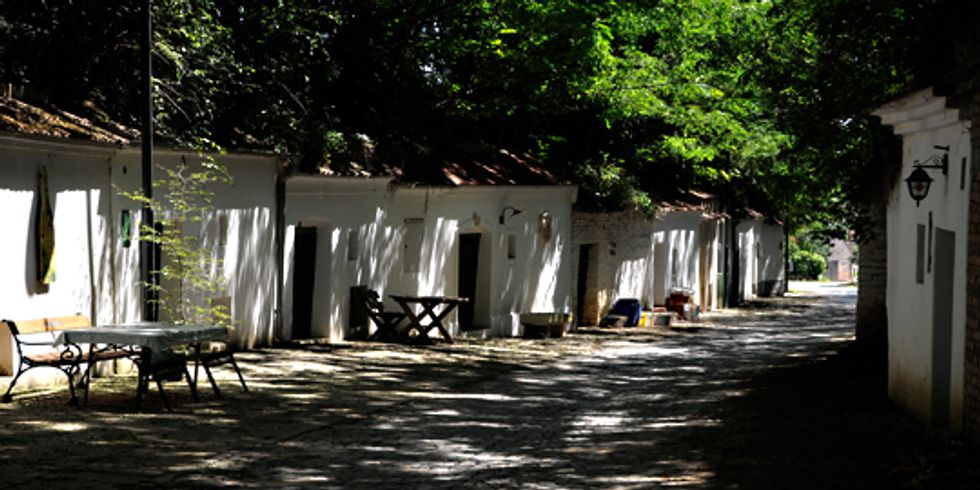 buehne Blick in die Kellergsse in der weiße Häuser am Rand stehen in Poysdorf (Stadt in Östereich) bei Sonennschein