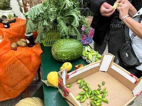 Stand mit bunten Kürbisssen, Mini-Gurken, Kohl und Kartoffeln