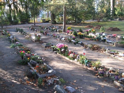 bepflanzte Urnenreihengrabstätten, neu angelegt, Friedhof In den Kisseln