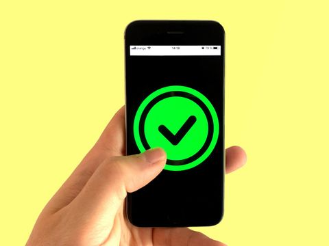 Hand mit Handy darin, auf dem Bildschirm ist ein großer Haken zu sehen