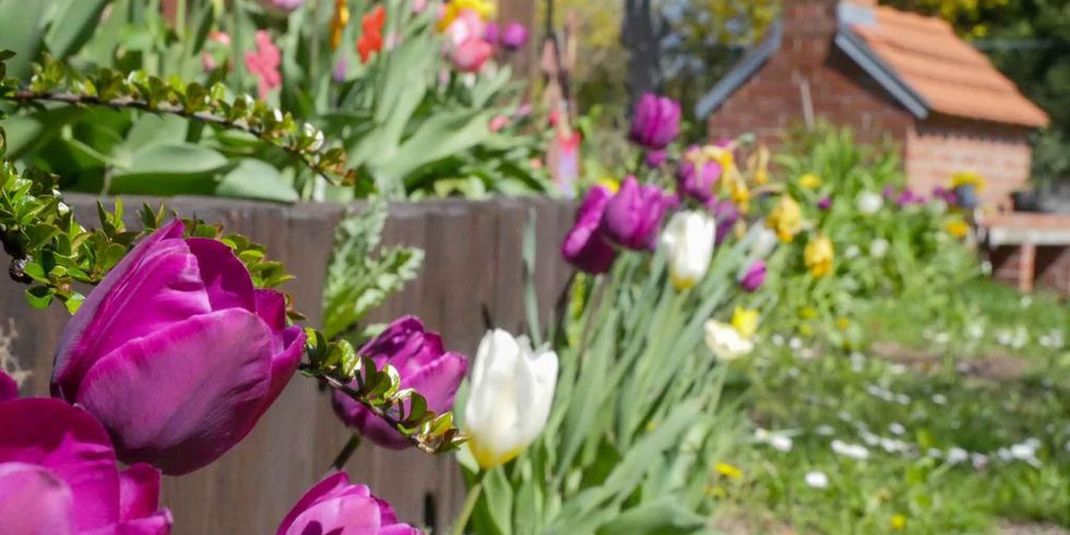 Frühling im Garten der Sinne