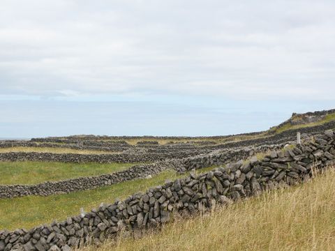 Steinmauer mit Wiese